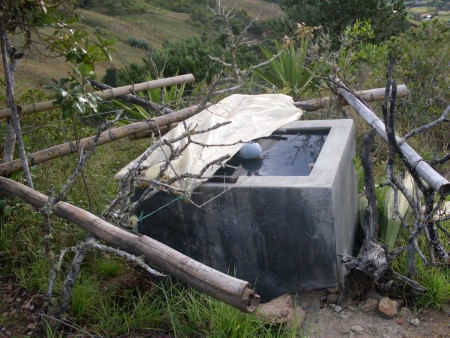 La paz y la tranquilidad no están determinadas por cosas exorbitantes; siempre se consiguen en cosas puras y sencillas. 